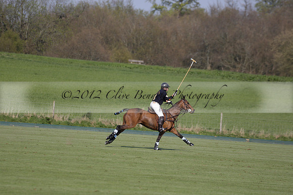 Witley Park Farm v Coombe Place in a Jersey Lilies Polo match 2013.05.02