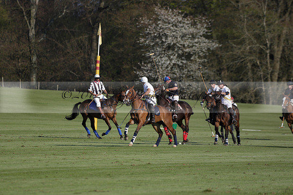 Witley Park Farm v Coombe Place in a Jersey Lilies Polo match 2013.05.02