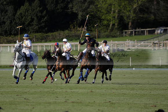 Witley Park Farm v Coombe Place in a Jersey Lilies Polo match 2013.05.02