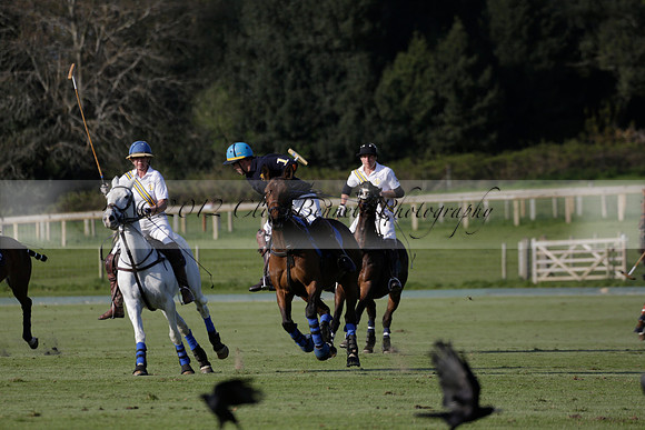 Witley Park Farm v Coombe Place in a Jersey Lilies Polo match 2013.05.02