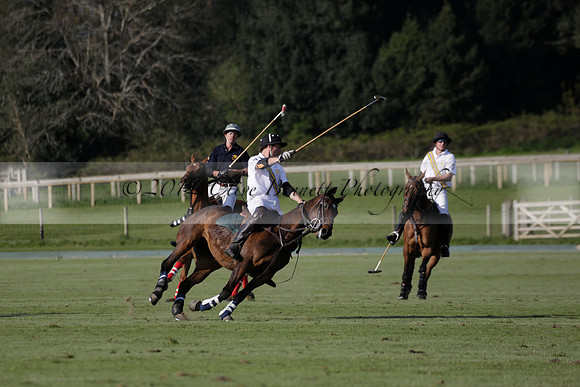Witley Park Farm v Coombe Place in a Jersey Lilies Polo match 2013.05.02