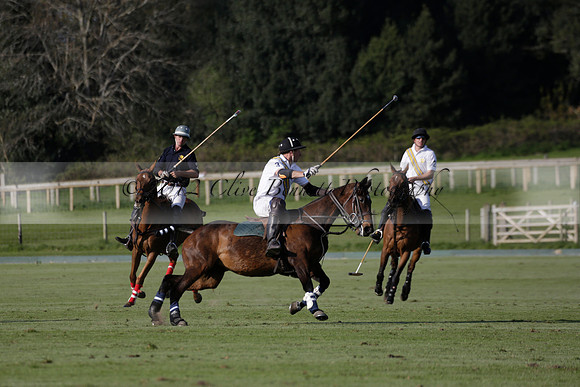 Witley Park Farm v Coombe Place in a Jersey Lilies Polo match 2013.05.02