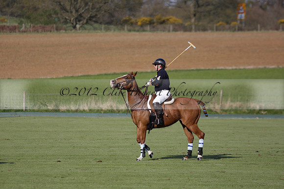 Witley Park Farm v Coombe Place in a Jersey Lilies Polo match 2013.05.02