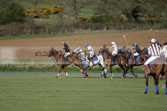 Witley Park Farm v Coombe Place in a Jersey Lilies Polo match 2013.05.02