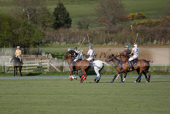 Witley Park Farm v Coombe Place in a Jersey Lilies Polo match 2013.05.02