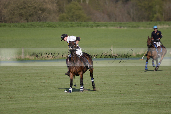 Witley Park Farm v Coombe Place in a Jersey Lilies Polo match 2013.05.02