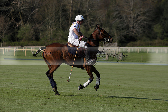 Witley Park Farm v Coombe Place in a Jersey Lilies Polo match 2013.05.02