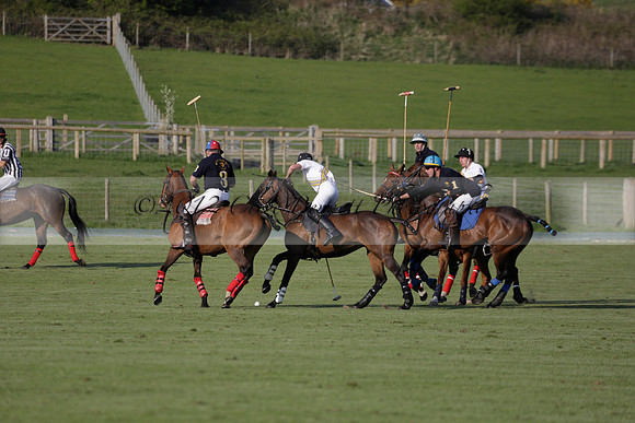 Witley Park Farm v Coombe Place in a Jersey Lilies Polo match 2013.05.02