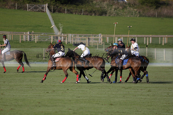 Witley Park Farm v Coombe Place in a Jersey Lilies Polo match 2013.05.02