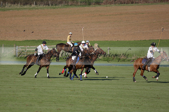 Witley Park Farm v Coombe Place in a Jersey Lilies Polo match 2013.05.02
