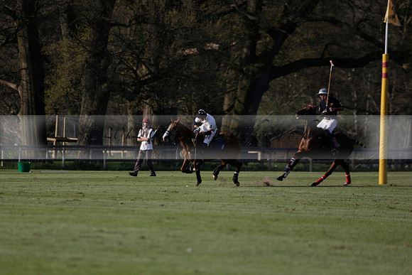 Witley Park Farm v Coombe Place in a Jersey Lilies Polo match 2013.05.02