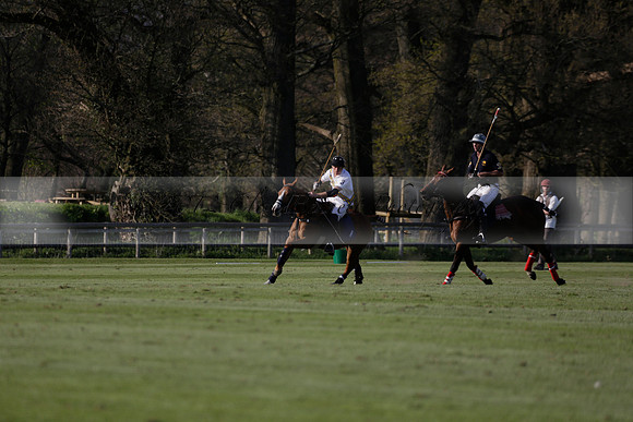 Witley Park Farm v Coombe Place in a Jersey Lilies Polo match 2013.05.02