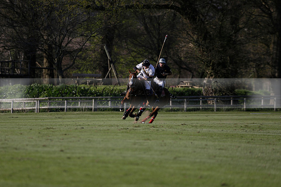 Witley Park Farm v Coombe Place in a Jersey Lilies Polo match 2013.05.02