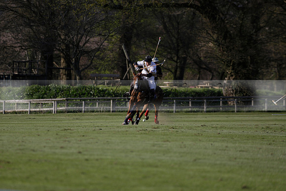 Witley Park Farm v Coombe Place in a Jersey Lilies Polo match 2013.05.02
