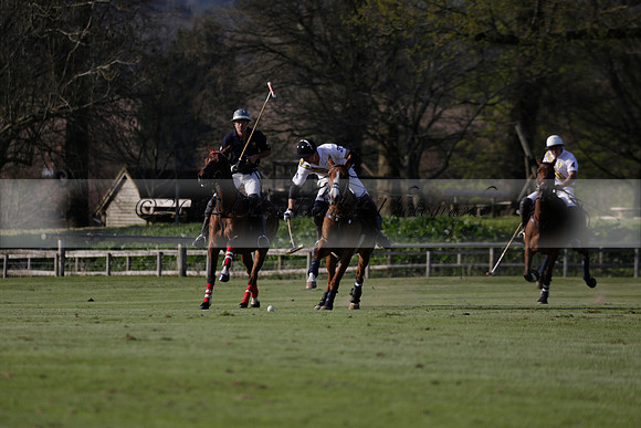 Witley Park Farm v Coombe Place in a Jersey Lilies Polo match 2013.05.02