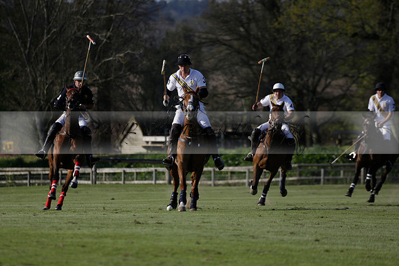 Witley Park Farm v Coombe Place in a Jersey Lilies Polo match 2013.05.02
