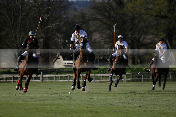 Witley Park Farm v Coombe Place in a Jersey Lilies Polo match 2013.05.02