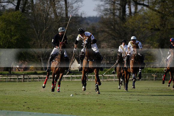 Witley Park Farm v Coombe Place in a Jersey Lilies Polo match 2013.05.02