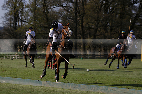 Witley Park Farm v Coombe Place in a Jersey Lilies Polo match 2013.05.02