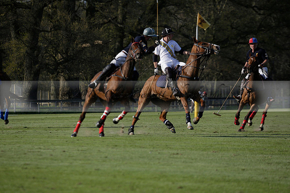 Witley Park Farm v Coombe Place in a Jersey Lilies Polo match 2013.05.02