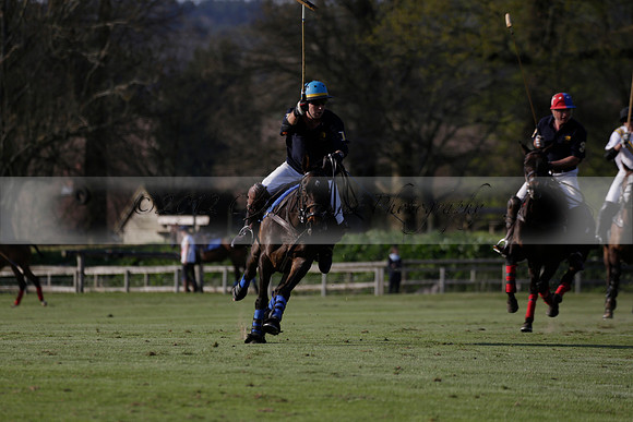 Witley Park Farm v Coombe Place in a Jersey Lilies Polo match 2013.05.02