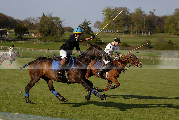 Witley Park Farm v Coombe Place in a Jersey Lilies Polo match 2013.05.02