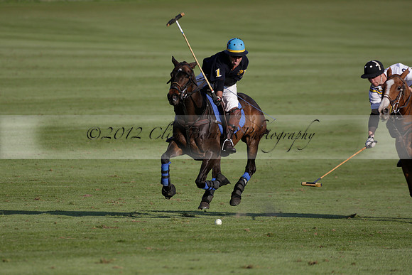 Witley Park Farm v Coombe Place in a Jersey Lilies Polo match 2013.05.02