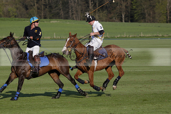 Witley Park Farm v Coombe Place in a Jersey Lilies Polo match 2013.05.02