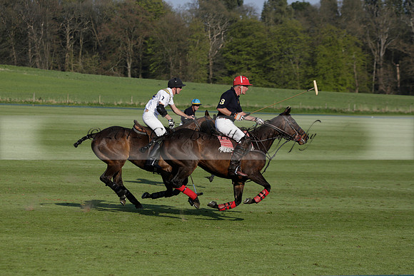 Witley Park Farm v Coombe Place in a Jersey Lilies Polo match 2013.05.02