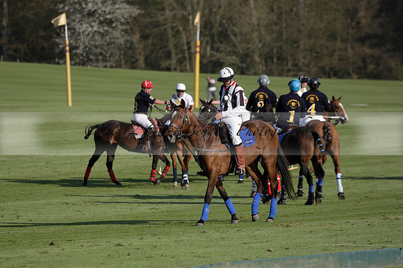 Witley Park Farm v Coombe Place in a Jersey Lilies Polo match 2013.05.02
