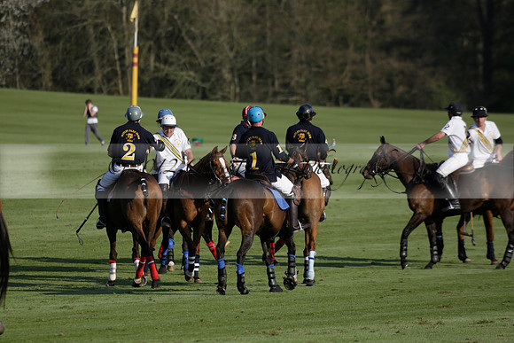 Witley Park Farm v Coombe Place in a Jersey Lilies Polo match 2013.05.02