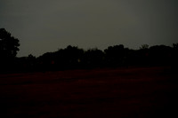 _CAB7227