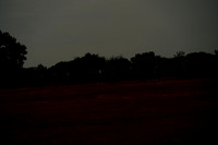 _CAB7228