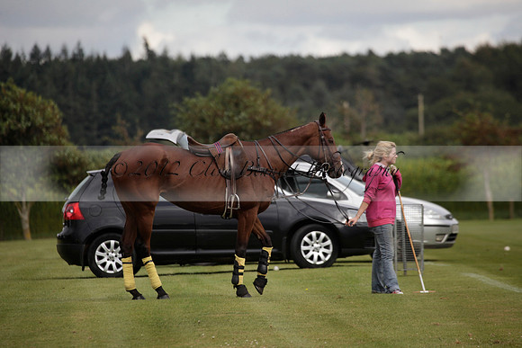 Maiz Dulce v Broadoak Farm in an Autumn Cup polo match played at Cowdray Park Polo Club on Wednesday 12 September 2012 on Ambersham 3.