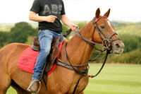 Mono Polo v Todham Farm in the Park House Cup 2026.08.31
