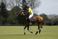 Maiz Dulce  v Enigma in a Tyro Cup Polo match  2013.05.06