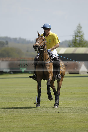 Maiz Dulce  v Enigma in a Tyro Cup Polo match  2013.05.06