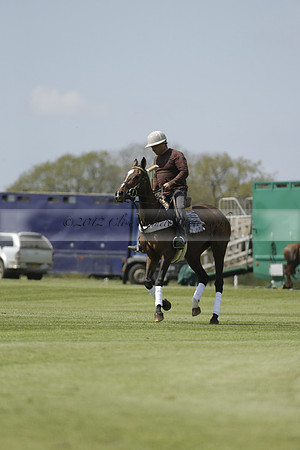 Maiz Dulce  v Enigma in a Tyro Cup Polo match  2013.05.06