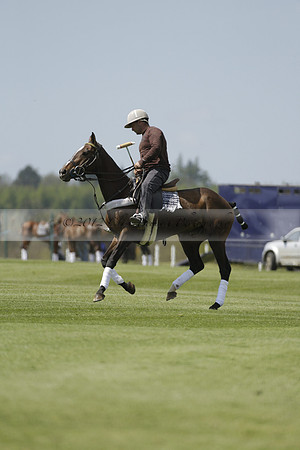 Maiz Dulce  v Enigma in a Tyro Cup Polo match  2013.05.06