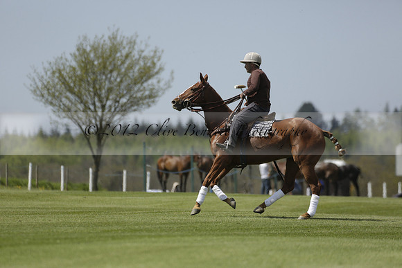 Maiz Dulce  v Enigma in a Tyro Cup Polo match  2013.05.06