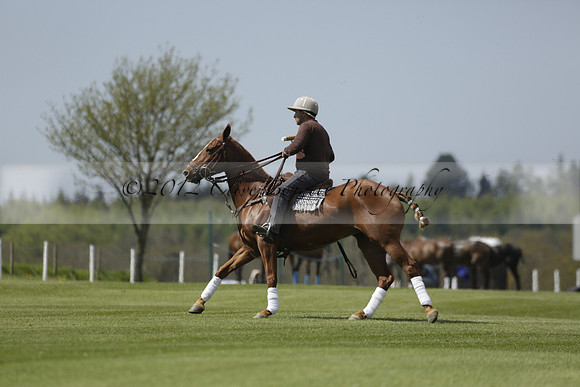 Maiz Dulce  v Enigma in a Tyro Cup Polo match  2013.05.06