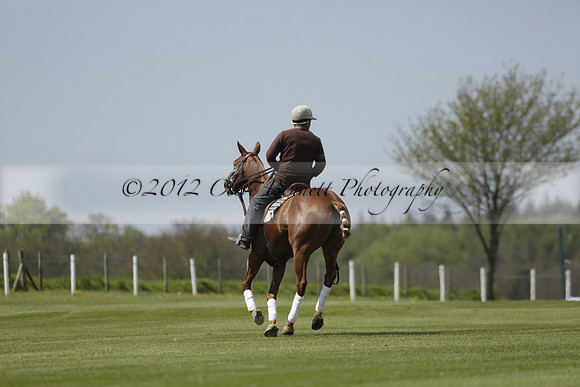 Maiz Dulce  v Enigma in a Tyro Cup Polo match  2013.05.06
