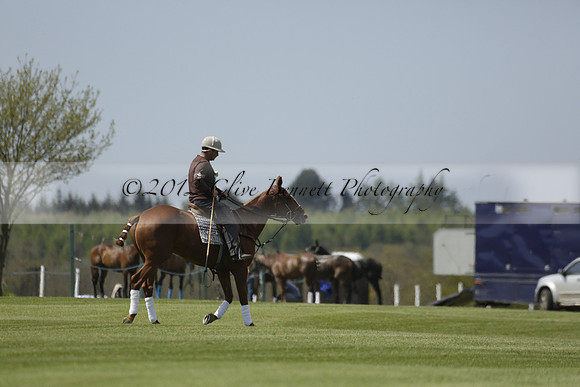 Maiz Dulce  v Enigma in a Tyro Cup Polo match  2013.05.06