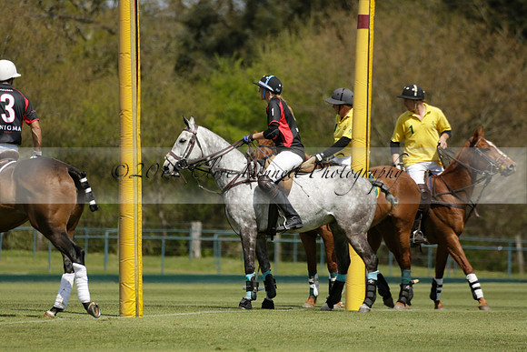 Maiz Dulce  v Enigma in a Tyro Cup Polo match  2013.05.06