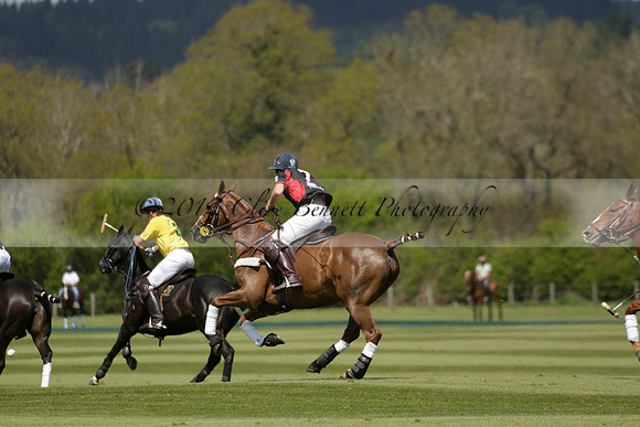 Maiz Dulce  v Enigma in a Tyro Cup Polo match  2013.05.06