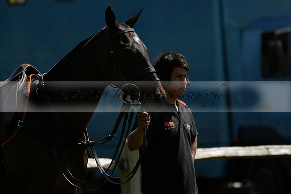 Maiz Dulce  v Enigma in a Tyro Cup Polo match  2013.05.06