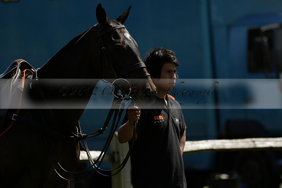 Maiz Dulce  v Enigma in a Tyro Cup Polo match  2013.05.06
