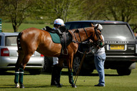 Athena v Salkeld in a Tyro Cup Polo match  2013.05.06