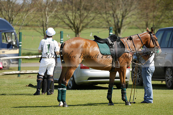 Athena v Salkeld in a Tyro Cup Polo match  2013.05.06