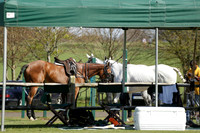 Athena v Salkeld in a Tyro Cup Polo match  2013.05.06